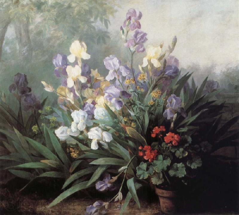 Barbara Bodichon Landscape with Irises Spain oil painting art